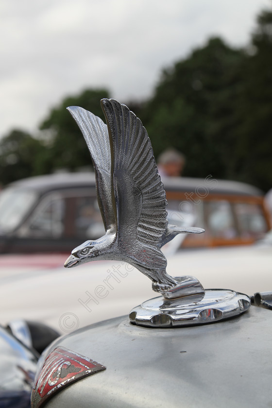 IMG 1358 
 Alvis car mascot detail. 
 Keywords: Alvis Car Mascot Detail Eagle Bird Silver Wings Red Badge Vintage Classic British Luxury Coventry England Manufacturer