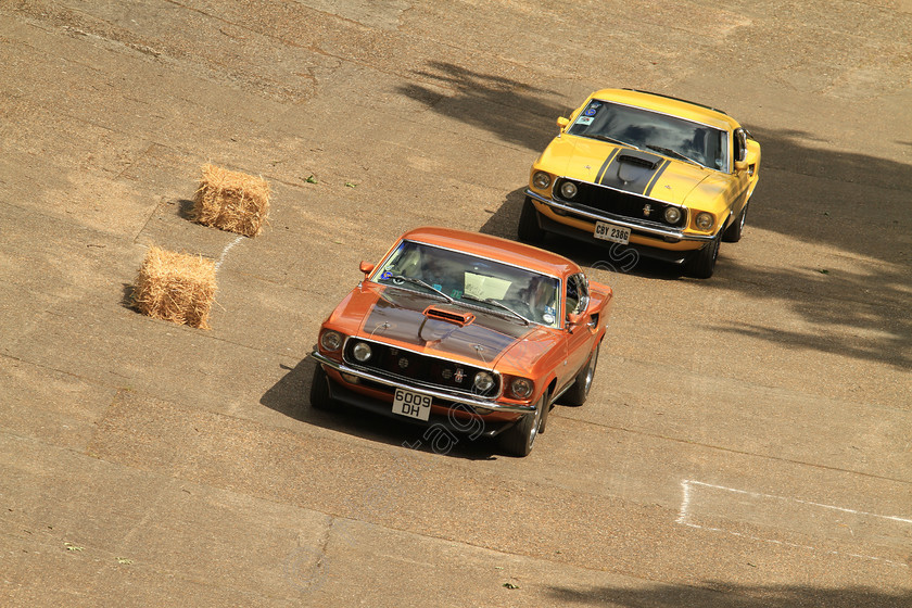 IMG 5431 
 Ford Mustang Mach 1 428 Cobra Jet, built in 1969 reg no 6009 DH, and another Ford Mustang on the race track at Brooklands Museum Double 12 Motorsport Festival. 
 Keywords: Ford Mustang Mach 1 428 Cobra Jet Car Built 1969 Reg 6009 DH Two Brooklands Race Track Members Banking Racetrack Drivers Yellow Brown American Classic Speed Driving