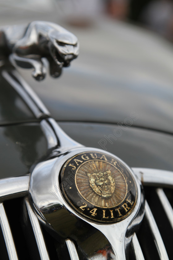 IMG 1470 
 Jaguar 2.4 Litre car badge. 
 Keywords: Jaguar 2.4 Litre Badge 2.4L Car Logo British Classic Black Gold Prestige Drive Transport Insignia Figurehead