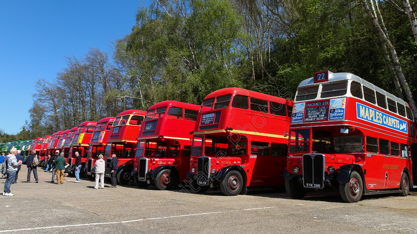IMG 5356 
 RT75 event buses at Brooklands in surrey. 
 Keywords: RT75 Event Buses Collection Lineup Row Brooklands Racetrack Surrey Red Livery Aviation Racing London Bus Museum 41st Spring Gathering 2014