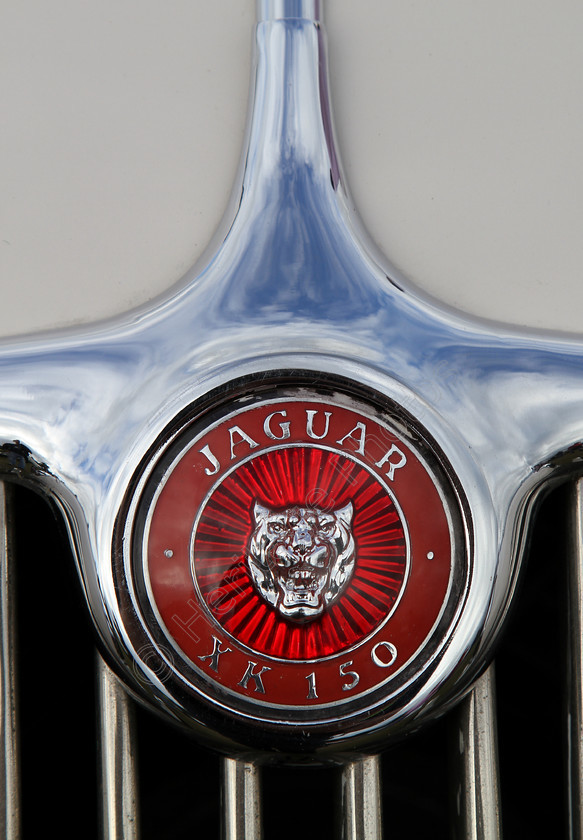 IMG 1359C 
 Jaguar XK 150 car badge detail. 
 Keywords: Jaguar XK 150 Car Badge Detail Red Silver Chrome Radiator Grille Classic British Manufacturer Coventry Transport Vehicle Driver