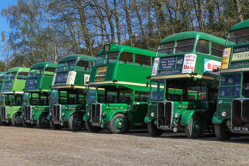 IMG 5372 
 Line of Green liveried London Transport RT buses at Brooklands. 
 Keywords: Line of Green Liveried RT Buses Brooklands Racetrack Aviation Racing London Bus Museum 41st Spring Gathering 2014 Collection Double Deckers Diesel Engines Transport