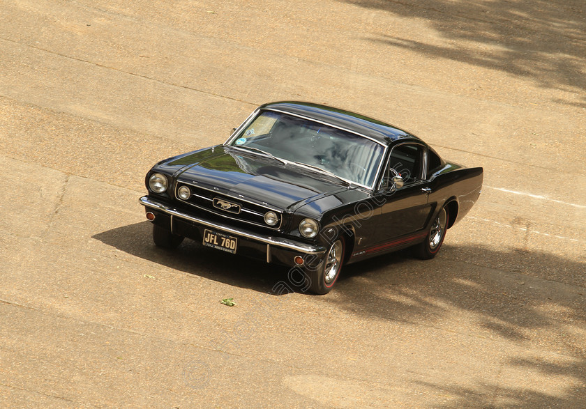 IMG 5427 
 Ford Mustang Fastback car, built in 1966 reg no JFL 76D on the race track at Brooklands Museum Double 12 Motorsport Festival 
 Keywords: Ford Mustang Fastback Car Built 1966 Reg JFL 76D Black Brooklands Race Track Double 12 Motorsport Festival Members Banking Classic Racetrack Driver