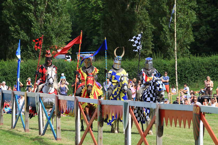 IMG 8942 
 'The Knights Of Royal England', parade of Knights at Hever Castle 2012. 
 Keywords: Knights Royal England Hever Castle Parade Jousting Mediaeval Lance Horse Horses Knight Helmet Armour Flag Flags Banner Yellow Black Red Blue Chainmail Suit