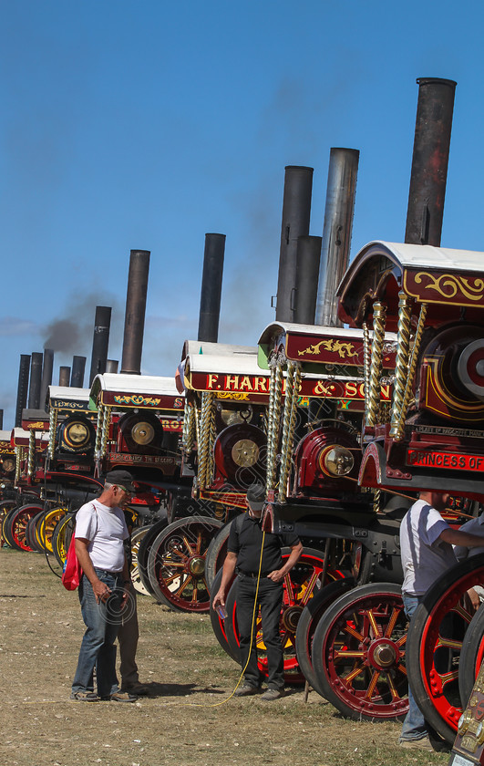 IMG 3503 
 Showmans Engine lineup at the Great Dorset Steam Fair 2013. 
 Keywords: Showmans Engine Lineup Line Gathering Great Dorset Steam Fair 2013 GDSF Tarrant Hinton Smoke Boiler Traction Coal Chimney Wheel Wheels Mechanical Engineering Flywheel Whistle Governor Pull Pulling Haul Haulage Fairground Power Generate Dynamo Electricity