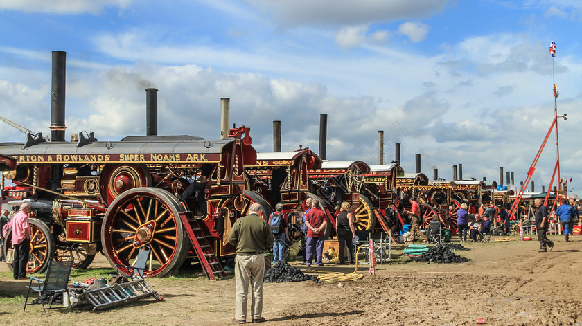 IMG 1826 
 Line of Showmans Engines at the Great Dorset Steam Fair. 
 Keywords: Line Showmans Engines Great Dorset Steam GDSF Fair Collection Gathering Coal Steam Generator Electricity Fairground Chimneys Smoke Colour Colourful Flywheel Wheel Wheel Brass Whistle Machinery Haul Light Bulb Lighting Generate