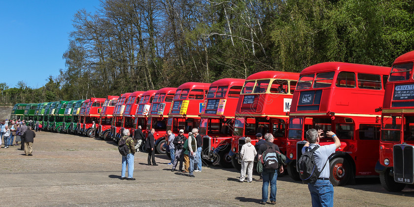 IMG 5346 
 Line of London Transport RT buses at Brooklands. 
 Keywords: Line Of London Transport RT Buses Brooklands Racetrack Aviation Racing Green Red Double Deckers London Bus Museum 41st Spring Gathering 2014