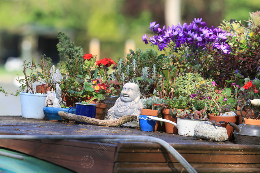 IMG 3611 
 Barge narrow boat display 
 Keywords: Canal Barge Boat Canals Water Flower Flowers Figure Display Home Narrow Boat Living Plant Pot Pots