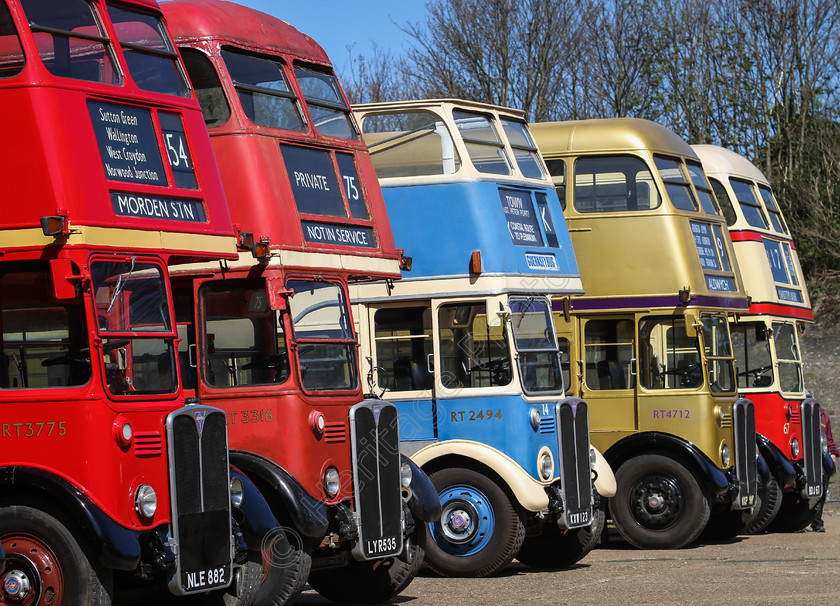 IMG 5229 
 Line of RT buses at Brooklands. 
 Keywords: Line RT Buses Brooklands Collection Gathering Red Blue Gold Racetrack Aviation Racing London Bus Museum 41st Spring Gathering 2014 Double Deckers