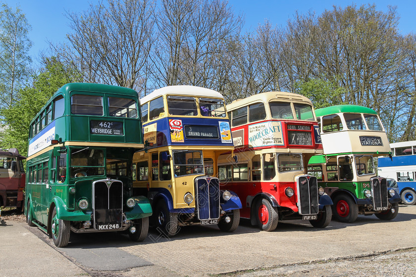 IMG 5361 
 Line of RT buses at Brooklands. 
 Keywords: Line RT Buses Brooklands Collection Gathering Red Blue Gold Racetrack Aviation Racing London Bus Museum 41st Spring Gathering 2014